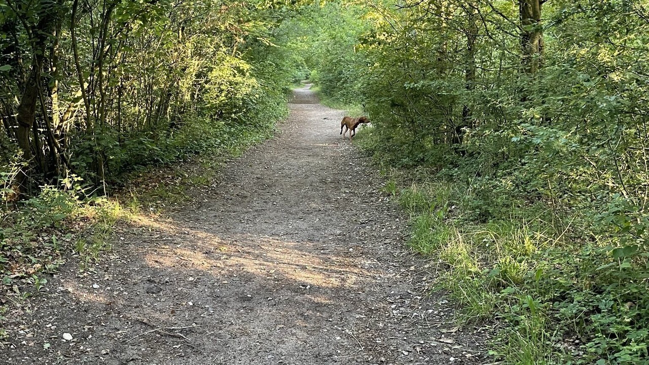 Photo of Outdoor in Cucq