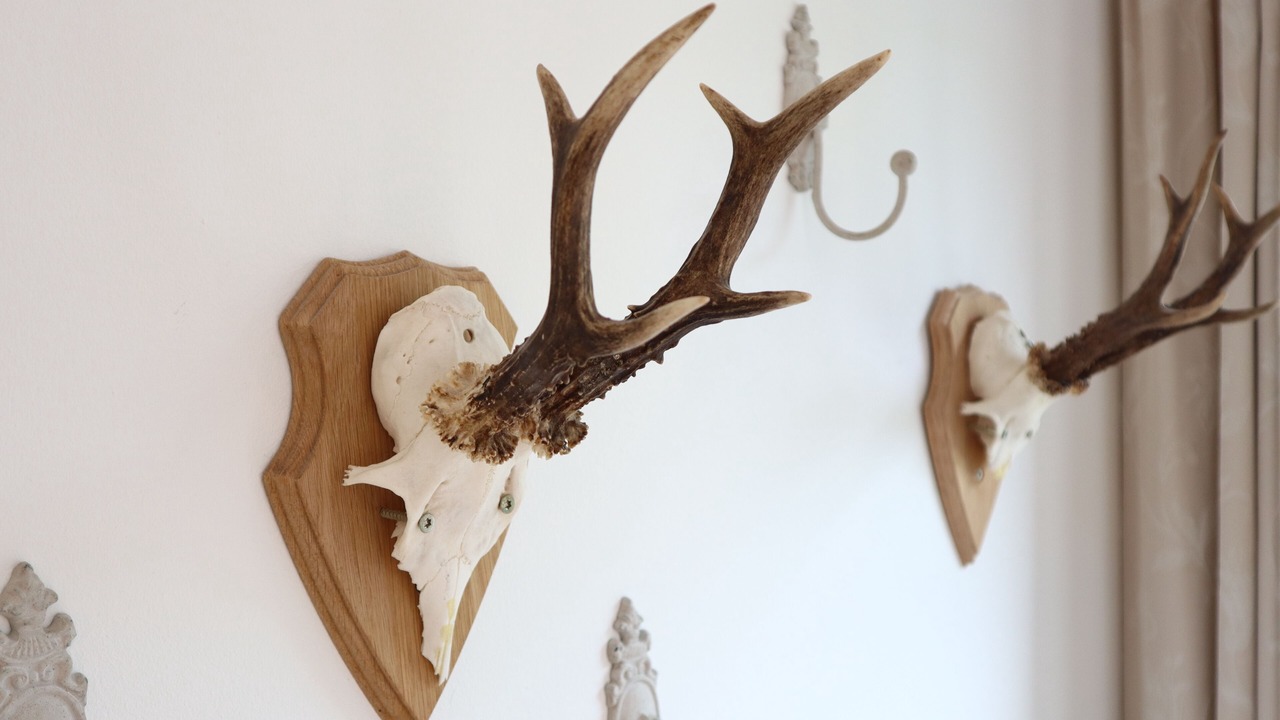 Photo of Livingroom in Herning