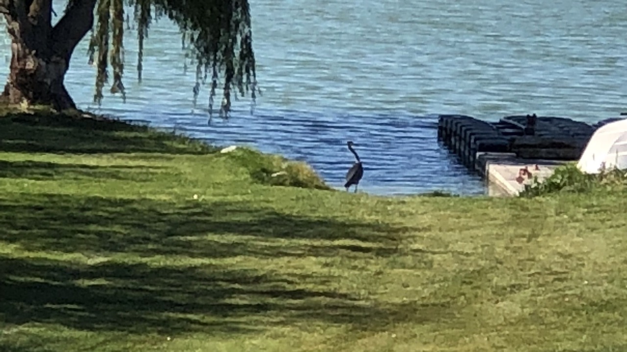 Photo of Others in Cascade Valley