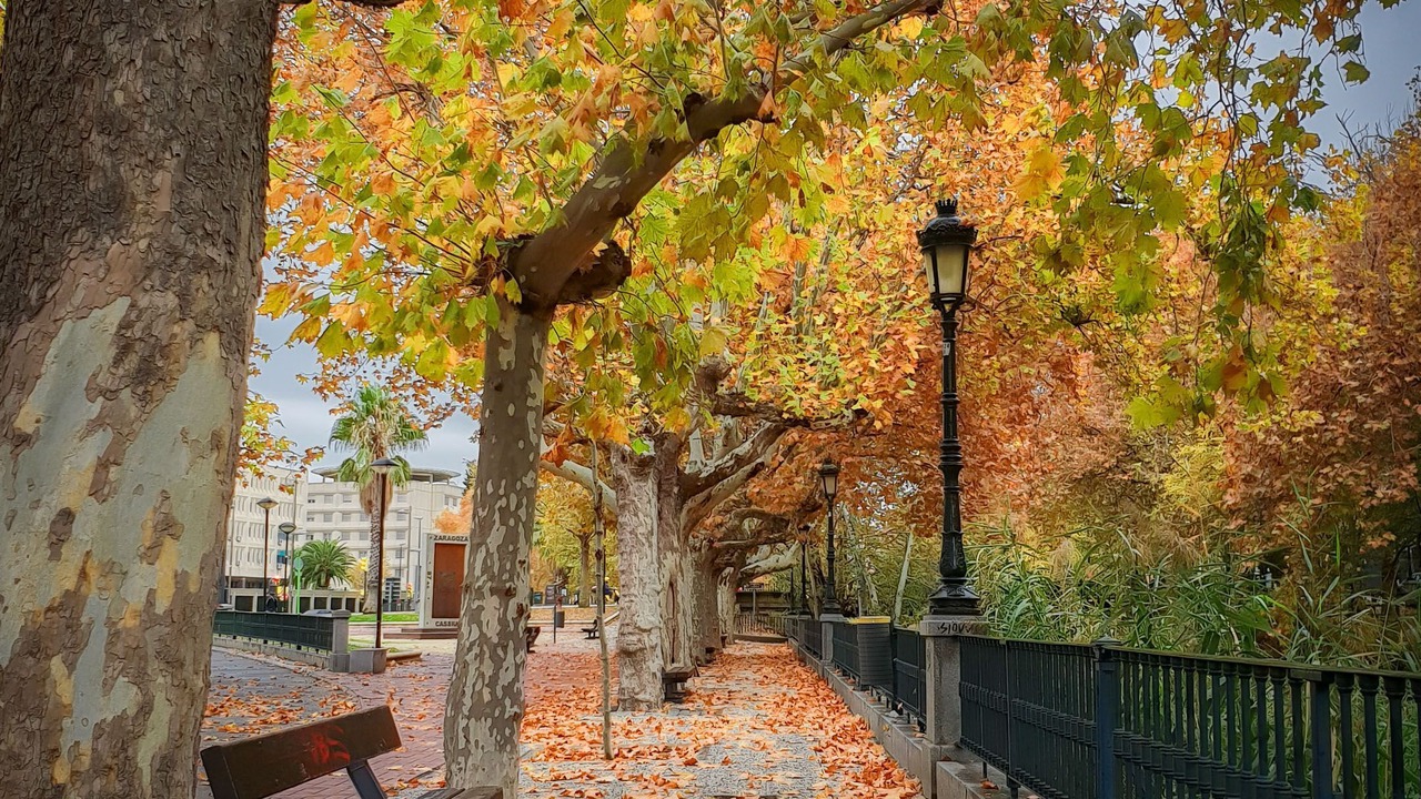 Photo of Outdoor in La Magdalena