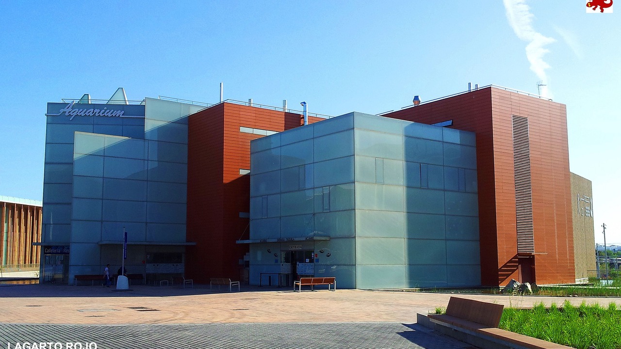 Photo of Outdoor in La Magdalena
