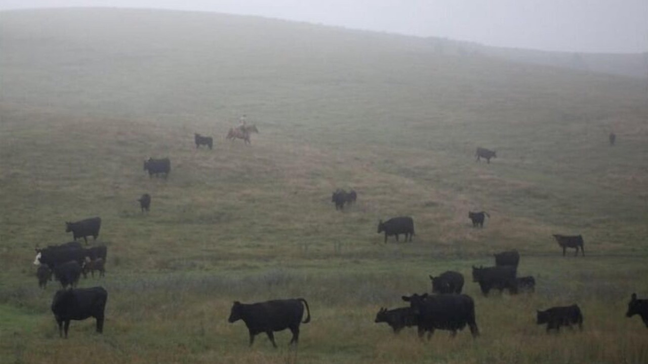 Photo of Others in Custer County