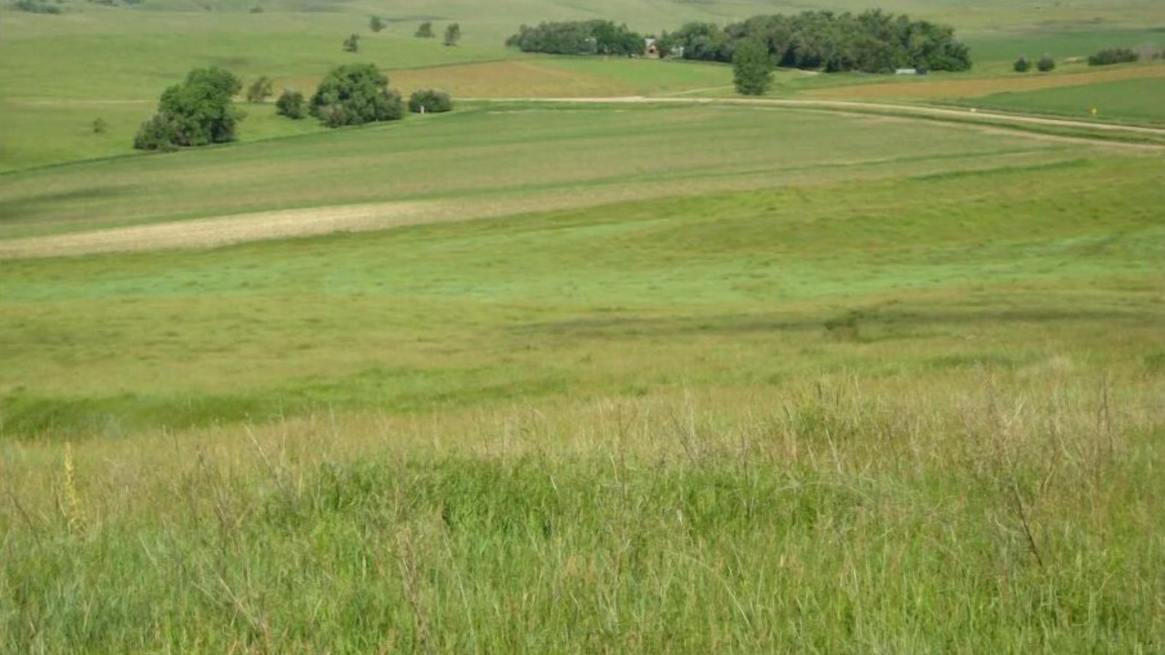 Photo of Others in Custer County