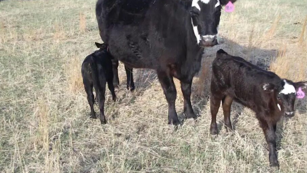 Photo of Outdoor in Custer County