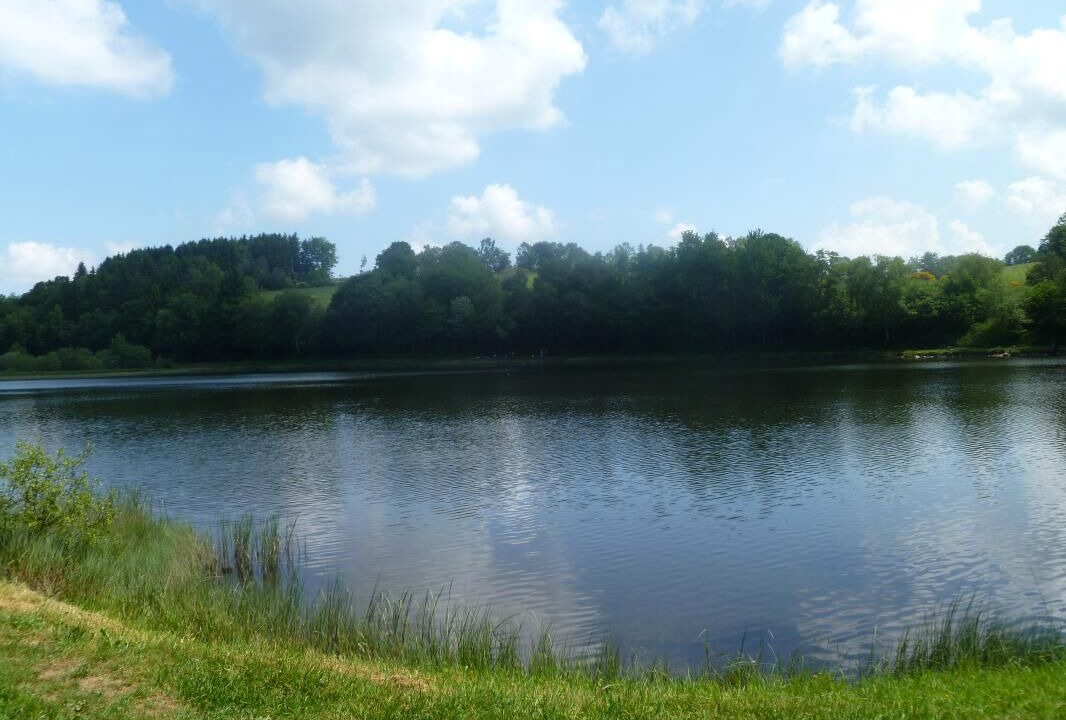 Photo of Others in Briffons