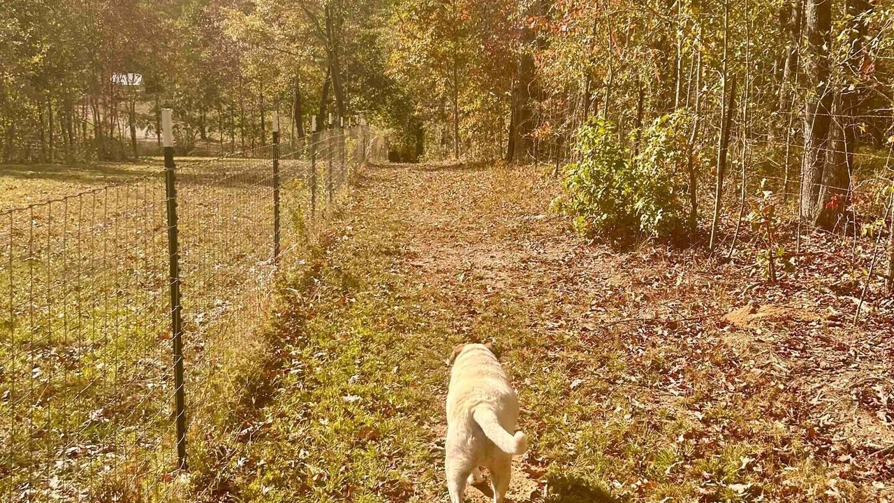 Photo of Others in Cook Springs