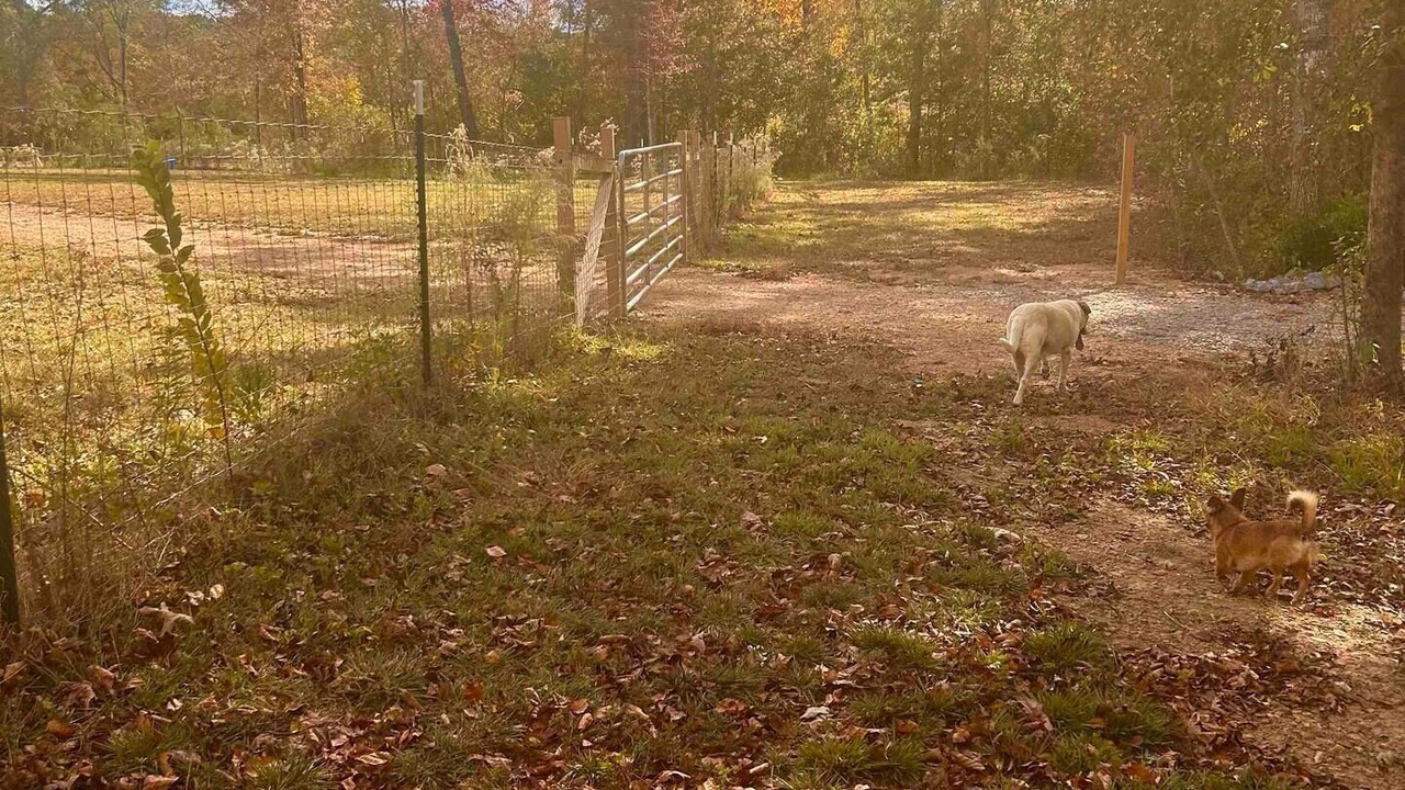 Photo of Others in Cook Springs