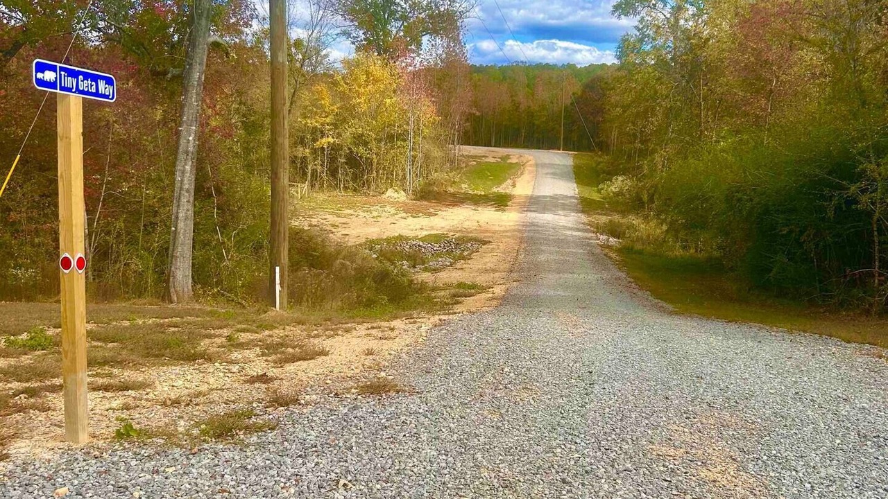 Photo of Others in Cook Springs