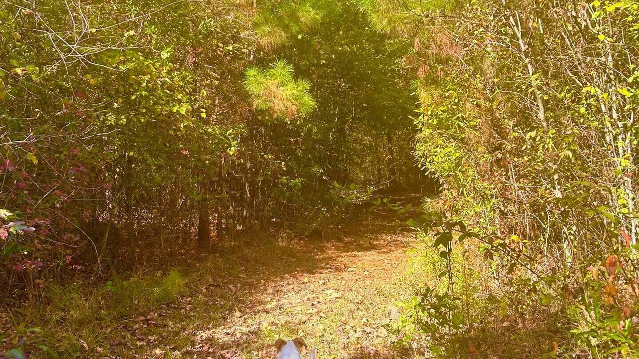 Photo of Others in Cook Springs