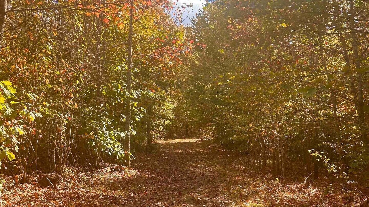 Photo of Others in Cook Springs