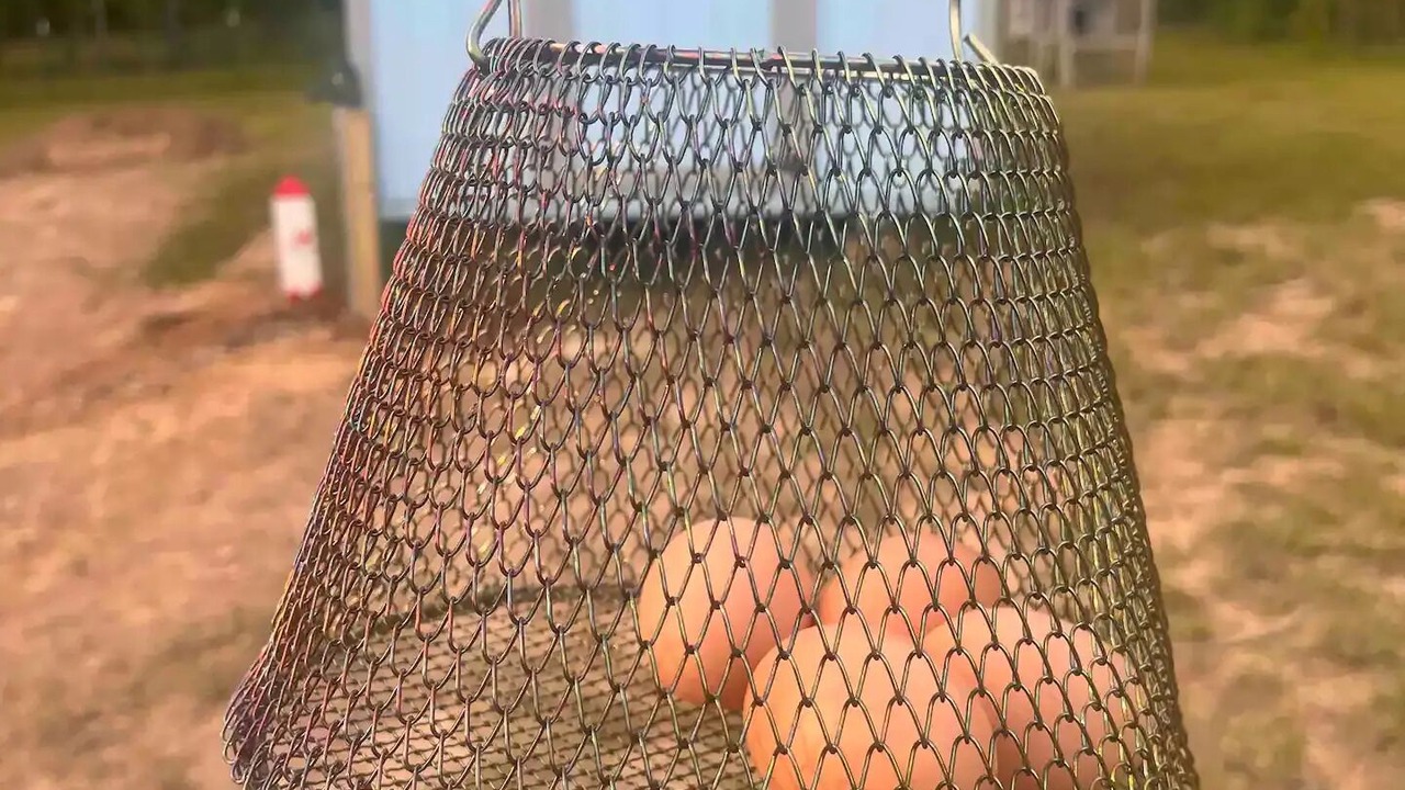 Photo of Others in Cook Springs