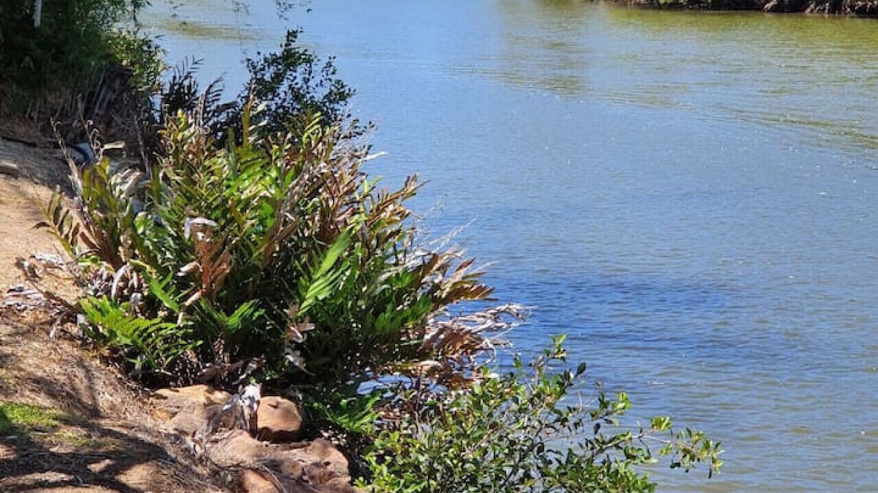 Photo of Others in Yandina