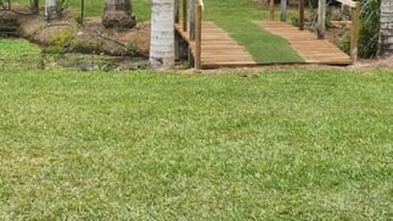 Photo of Outdoor in Yandina