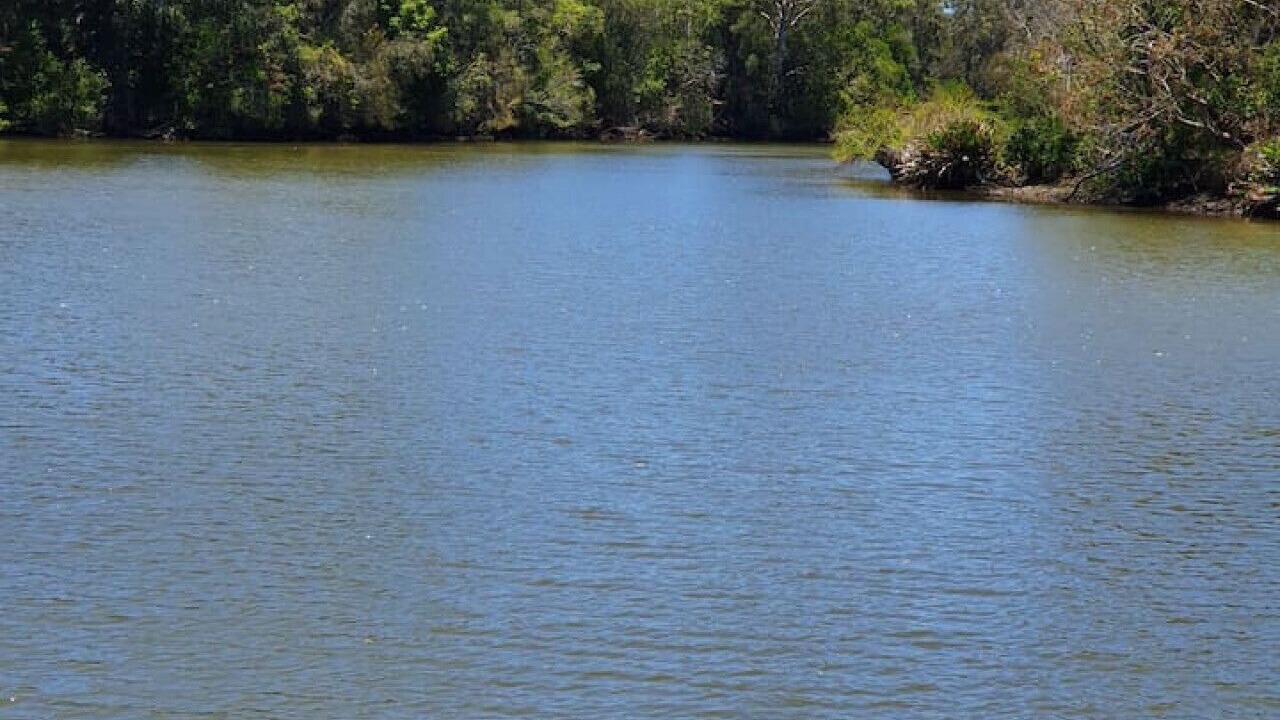 Photo of Others in Yandina