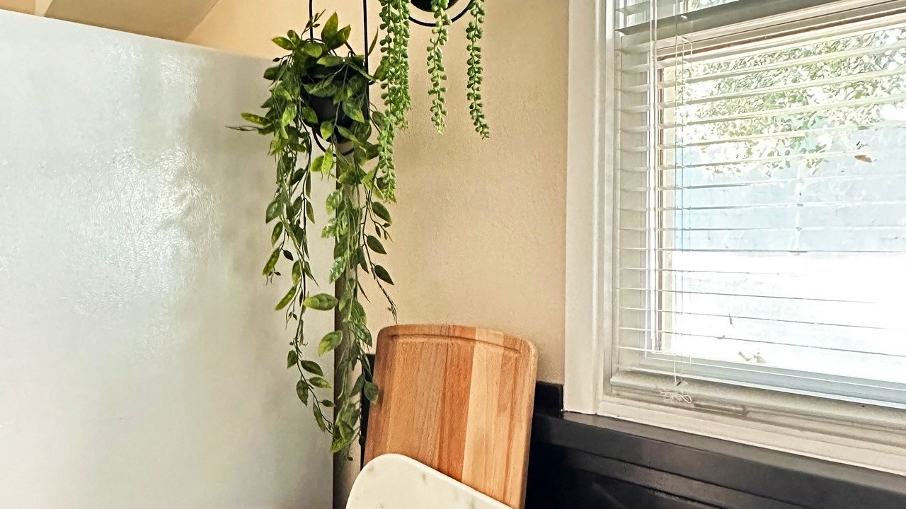 Photo of Others in Los Gatos