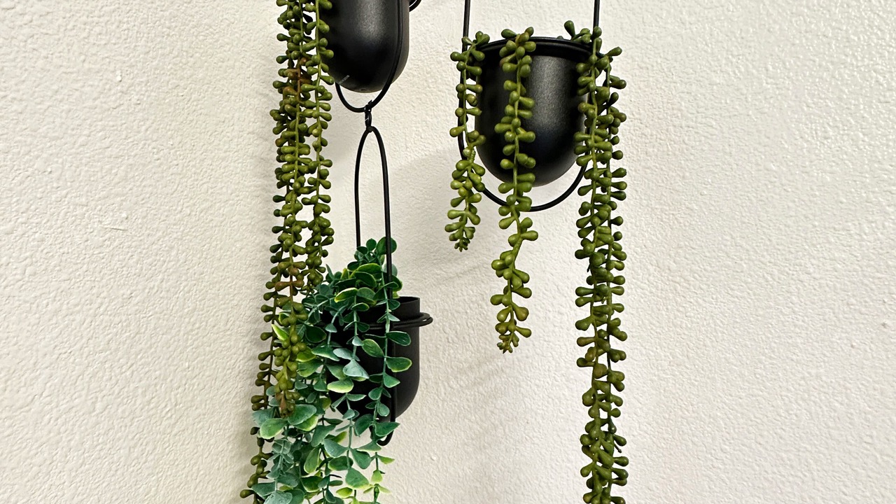 Photo of Others in Los Gatos