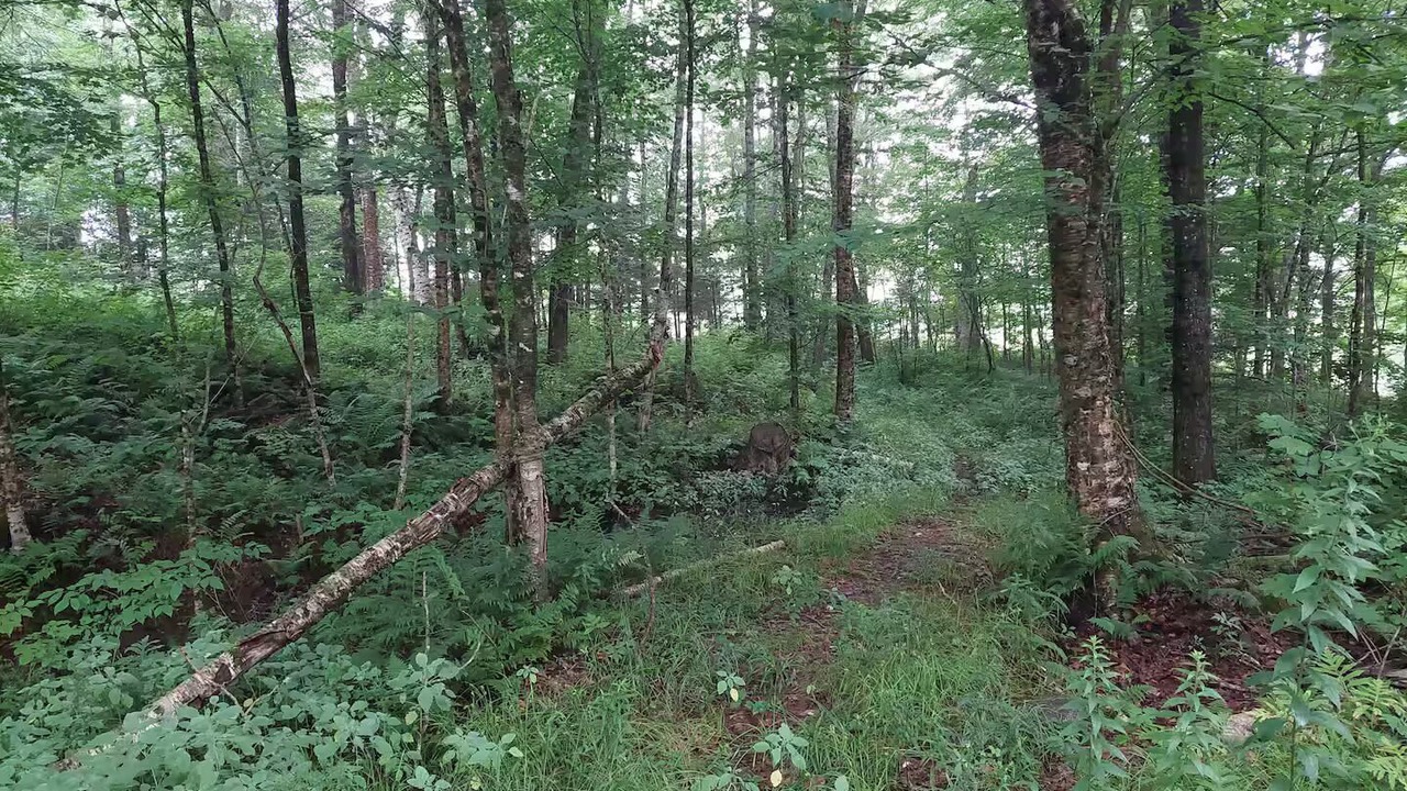 Photo of Others in Hardwick