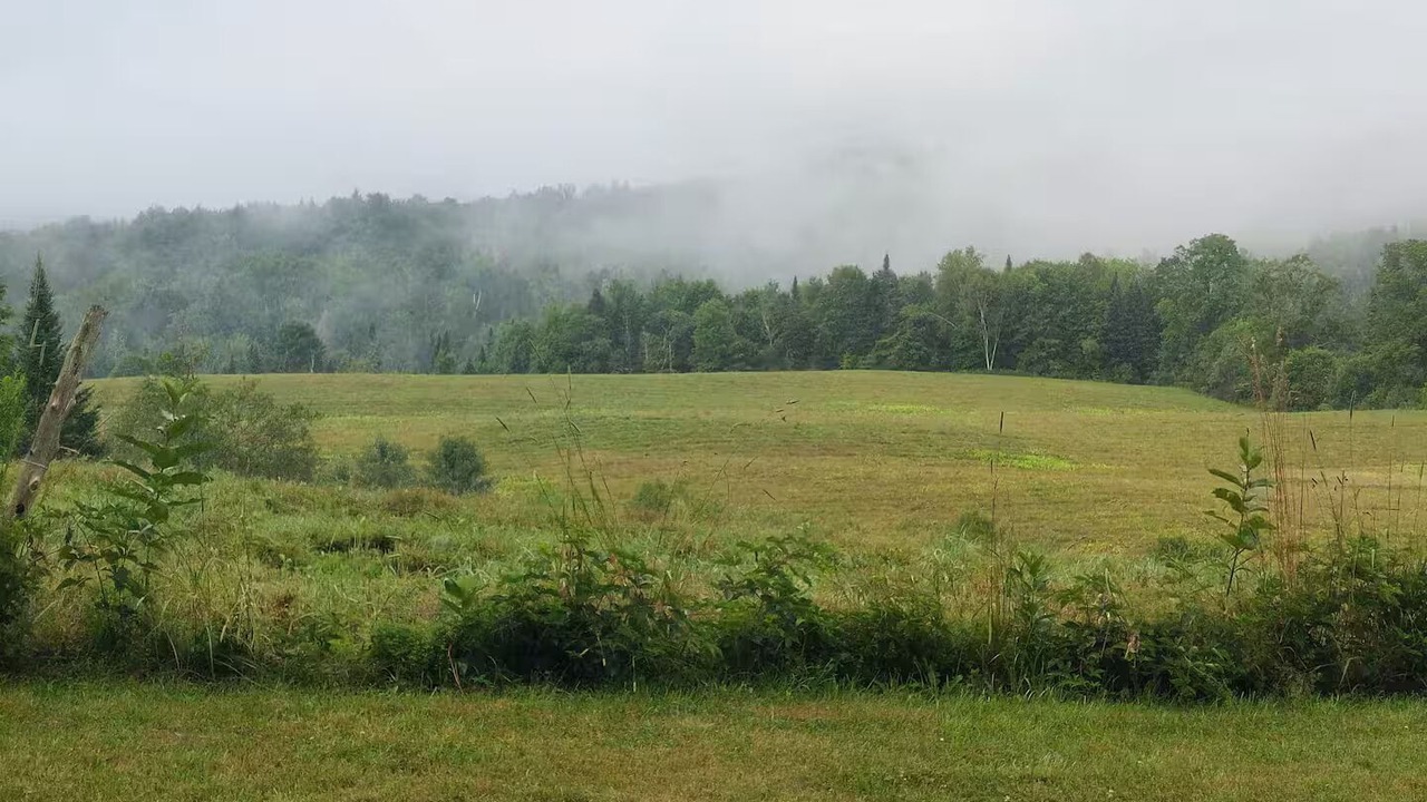 Photo of Others in Hardwick