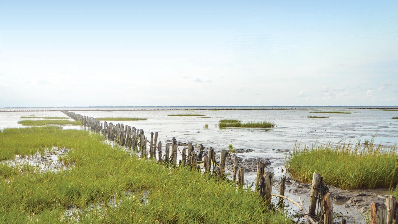 Photo of Others in Ballum