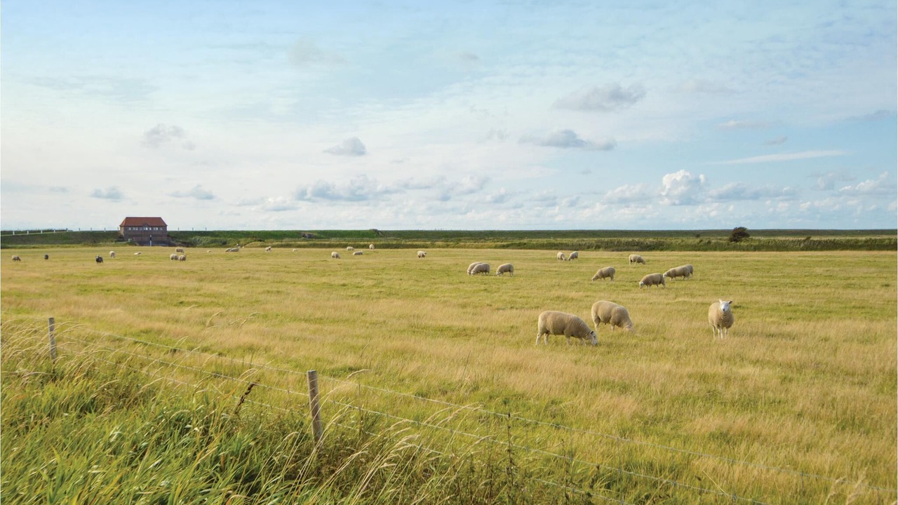 Photo of Others in Ballum