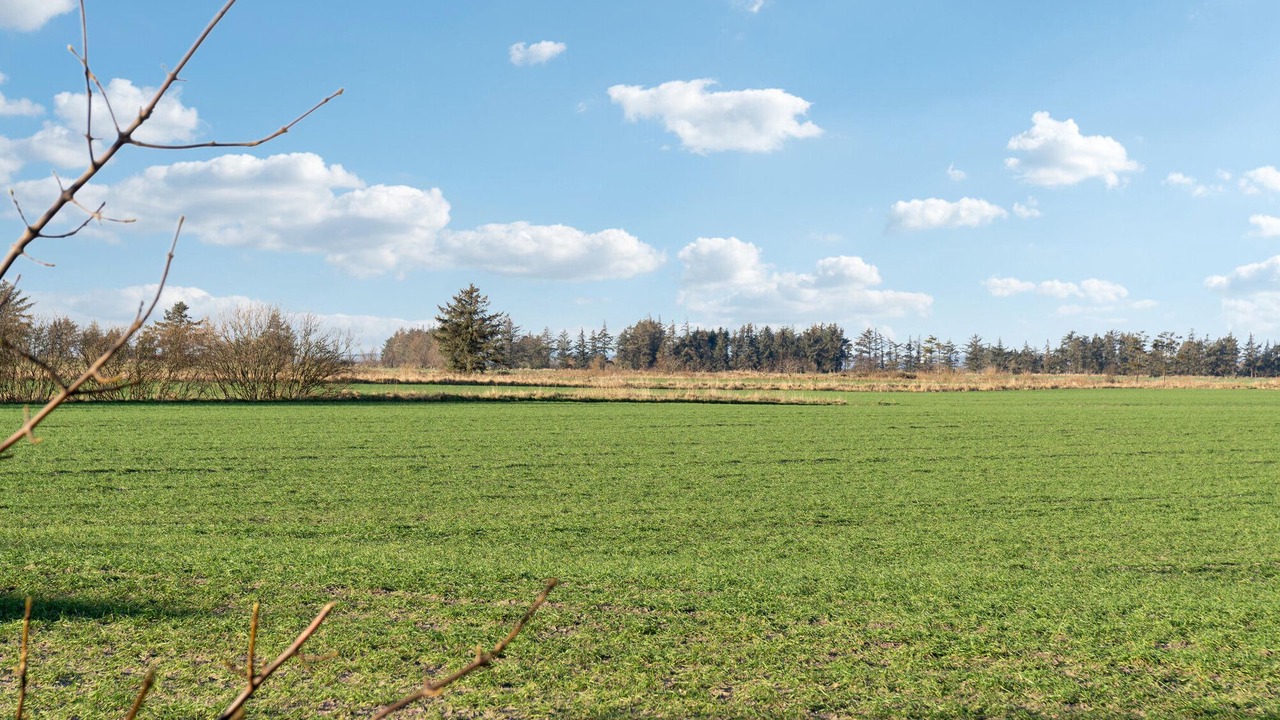 Photo of Bedroom in Ballum