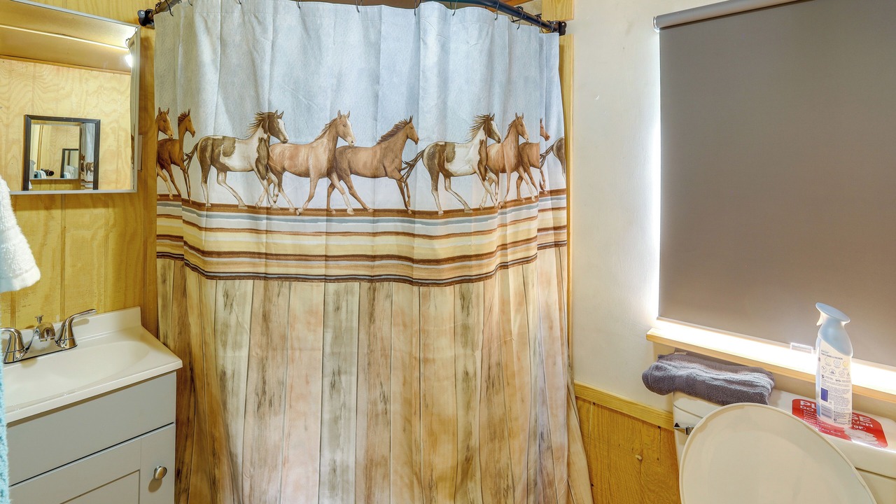 Photo of Bathroom in Higden