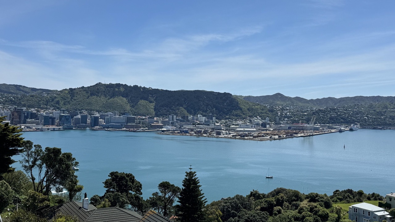 Photo of Others in Oriental Bay
