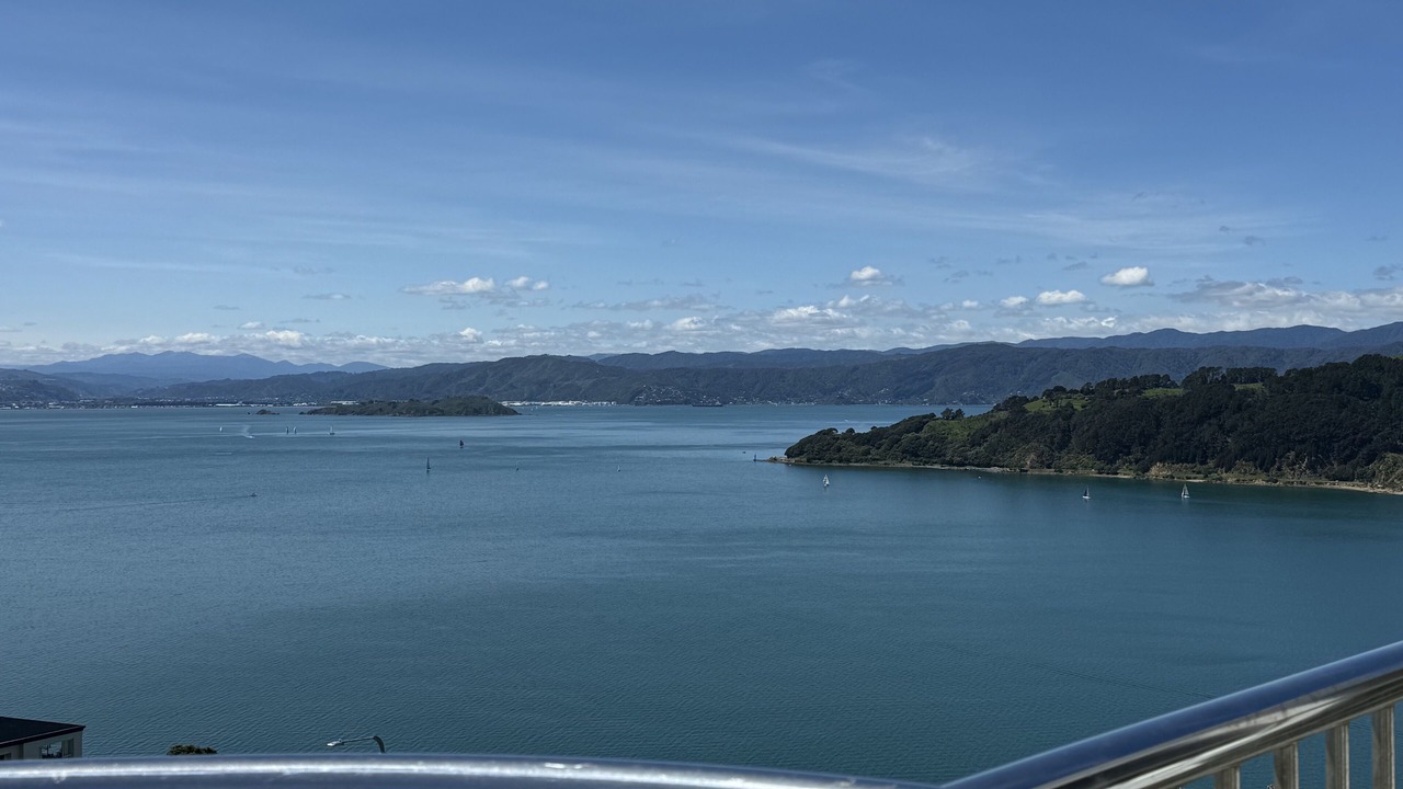 Photo of Others in Oriental Bay