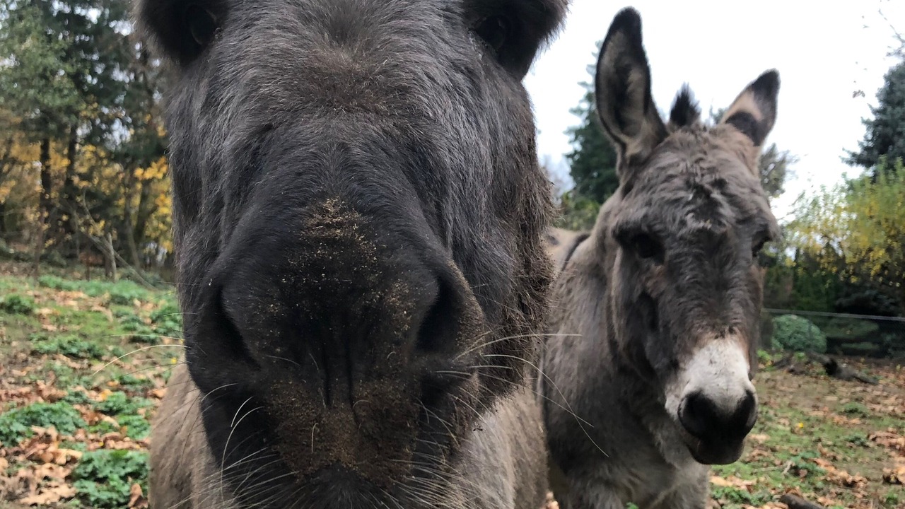 Photo of Others in Pleasant Valley