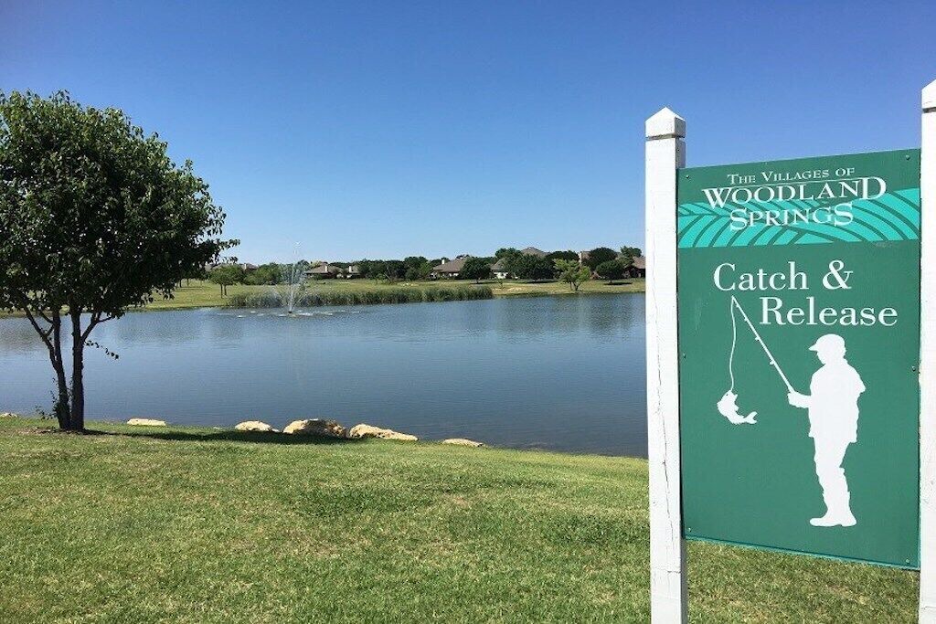Photo of Outdoor in Keller