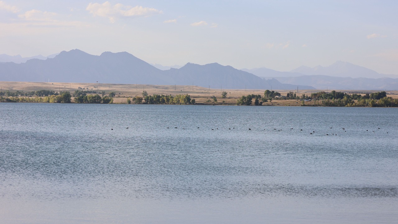 Photo of Others in West Westminster