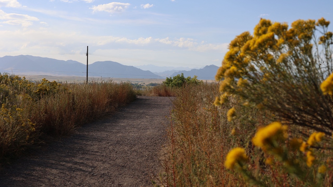 Photo of Outdoor in West Westminster