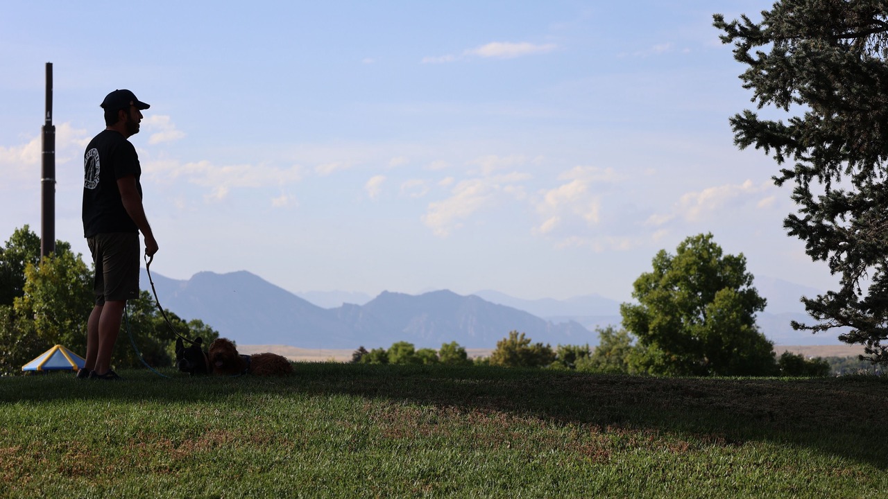 Photo of Others in West Westminster