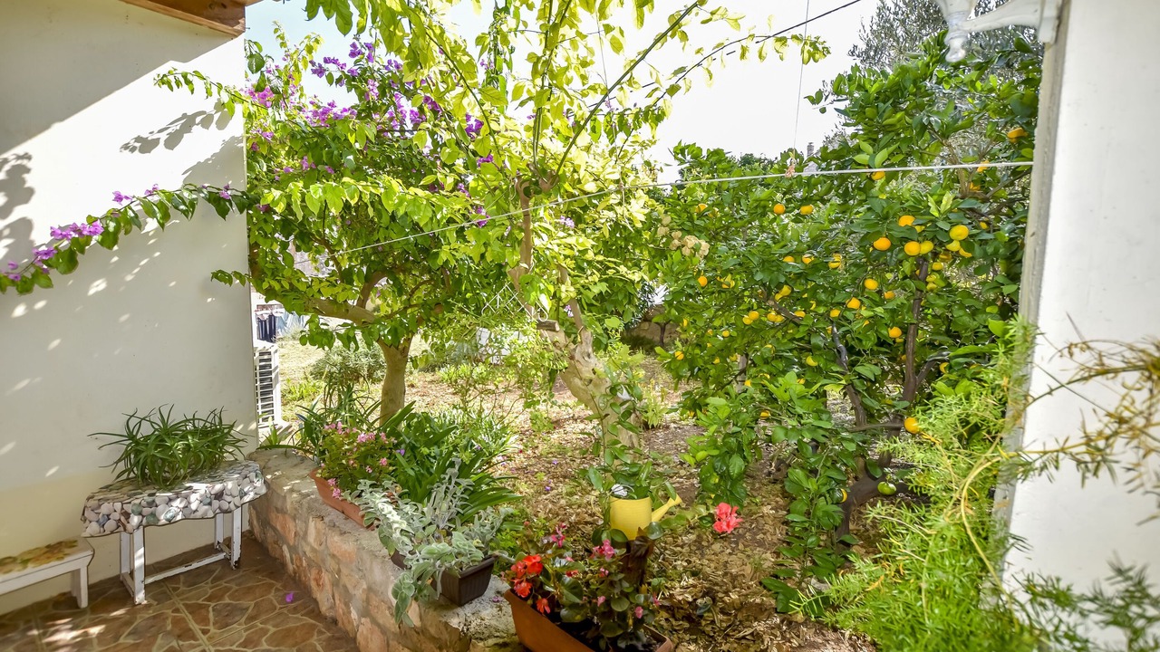 Photo of Outdoor in Mali Iz