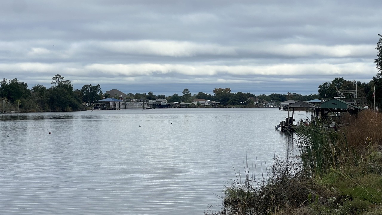 Photo of Others in Barataria