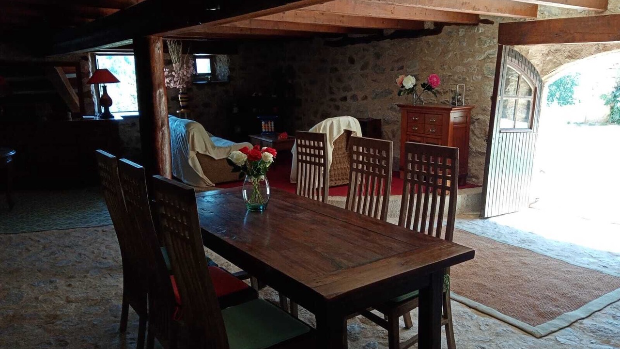 Photo of Others in Felines