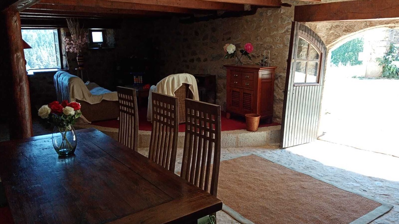 Photo of Others in Felines