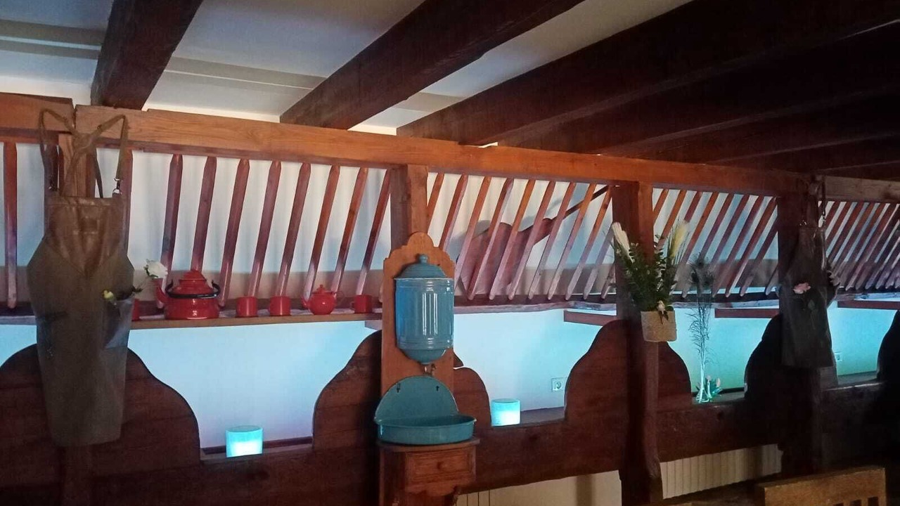 Photo of Others in Felines