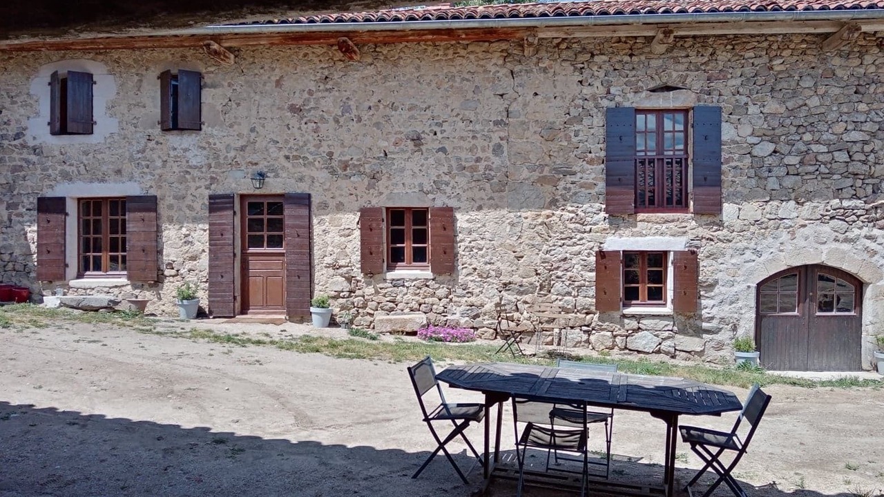 Photo of Outdoor in Felines