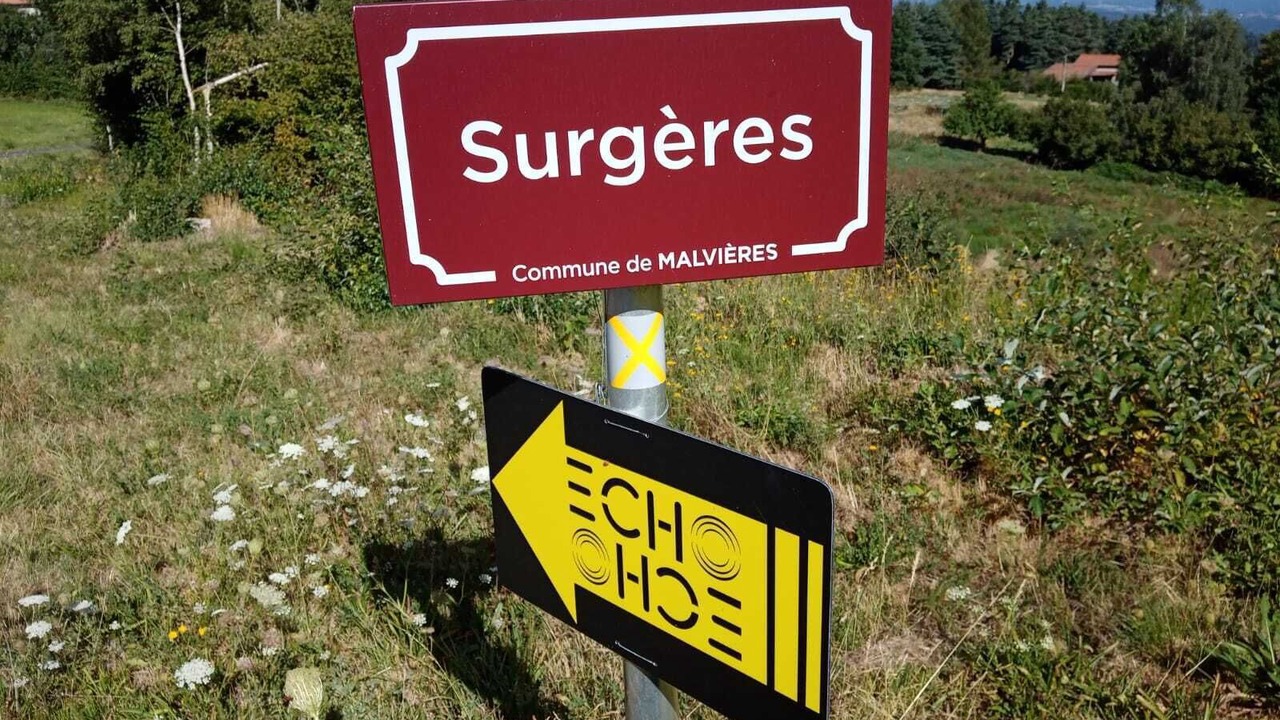 Photo of Outdoor in Felines