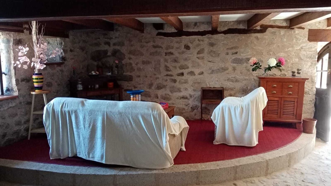 Photo of Others in Felines