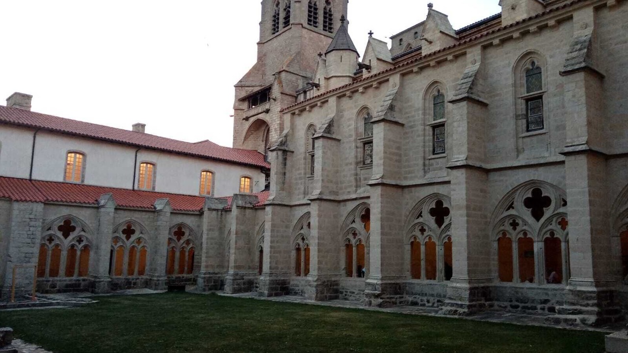 Photo of Others in Felines