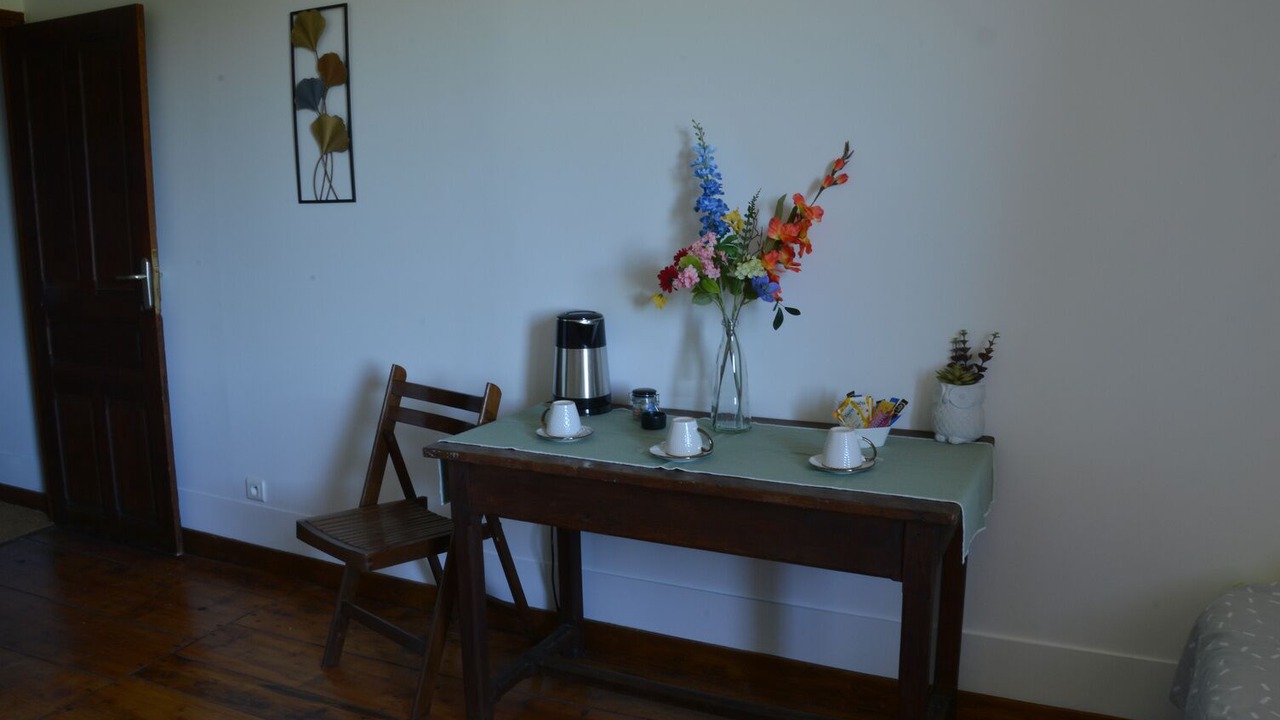 Photo of Others in Felines