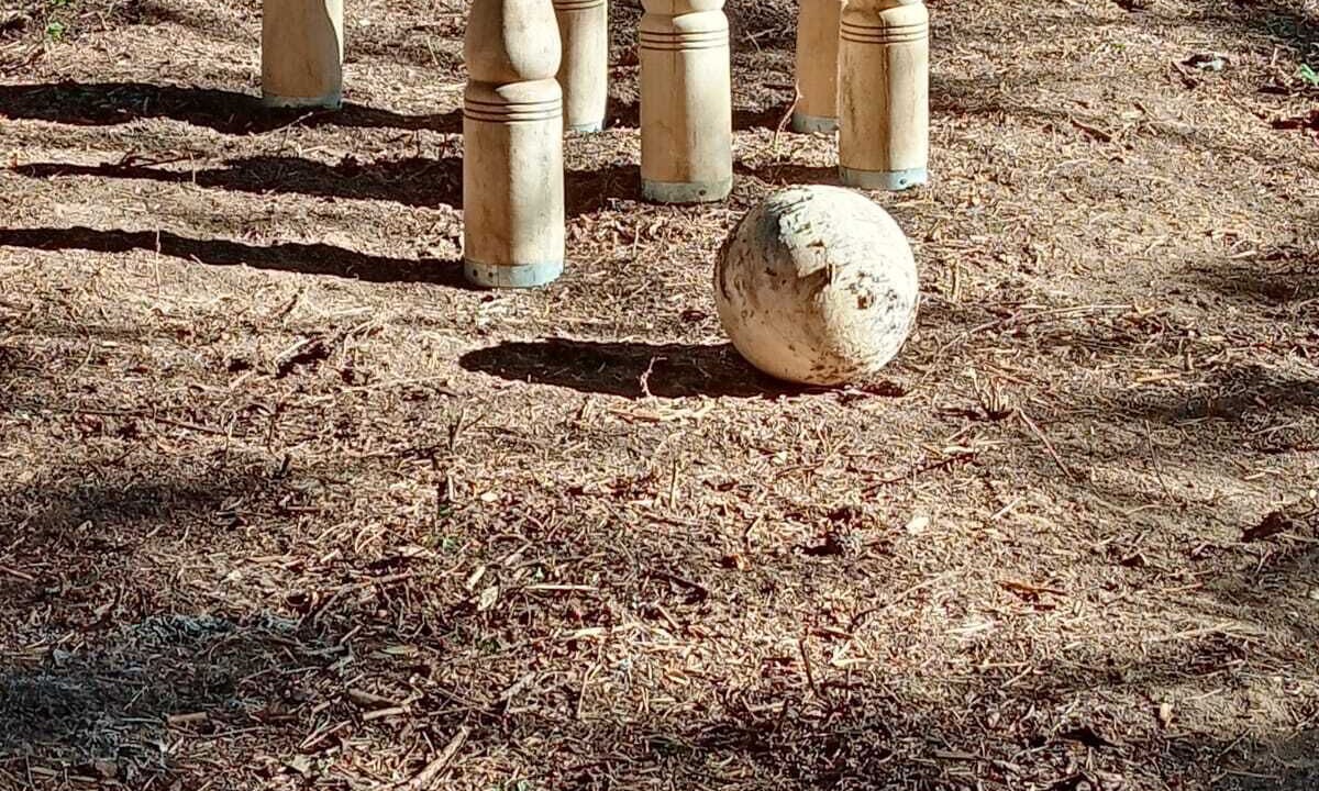 Photo of Others in Felines