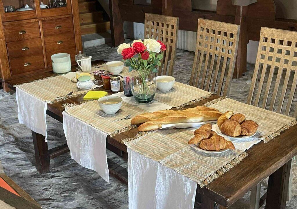 Photo of Others in Felines