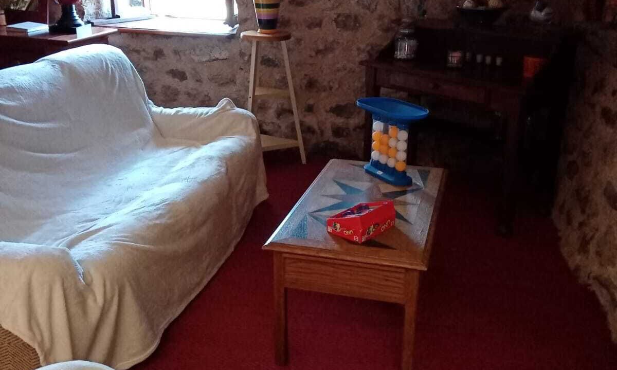 Photo of Others in Felines