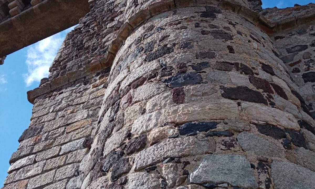 Photo of Outdoor in Felines