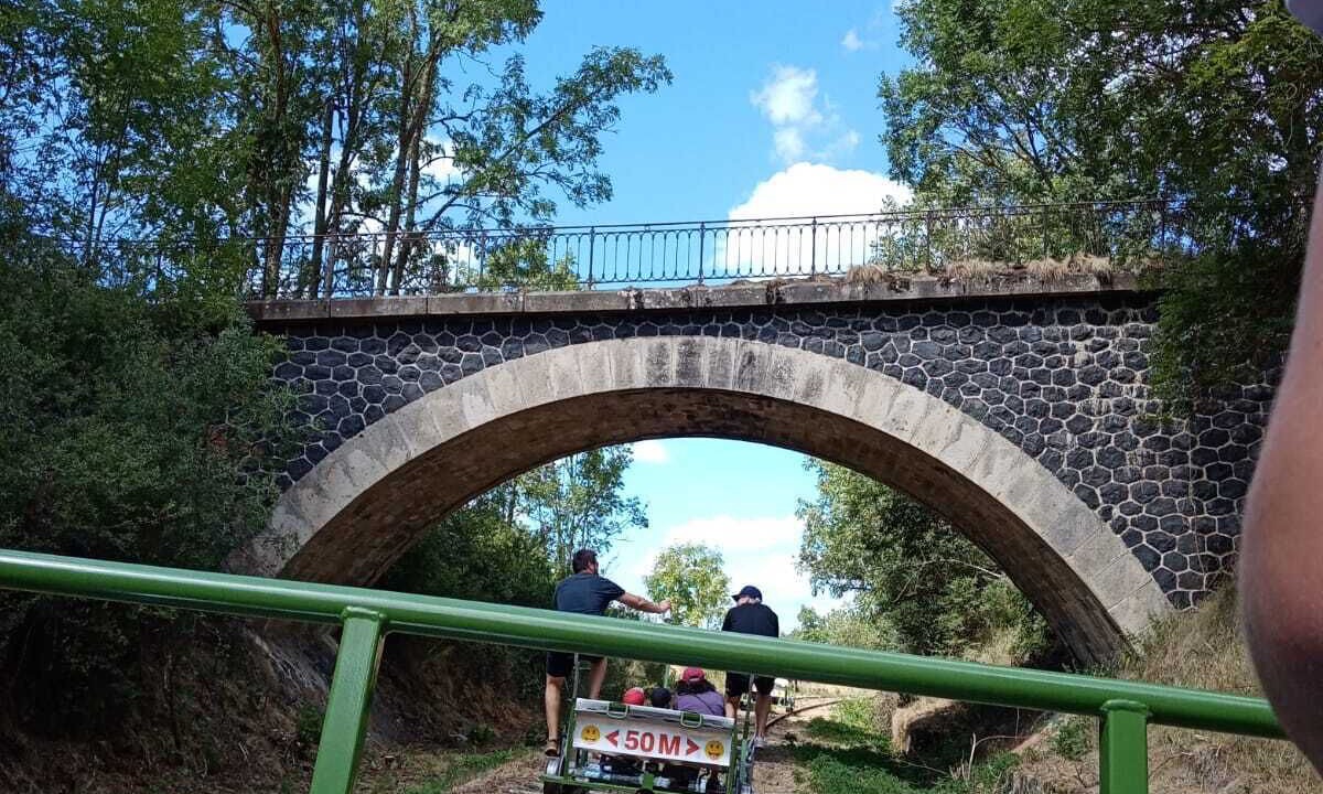 Photo of Outdoor in Felines