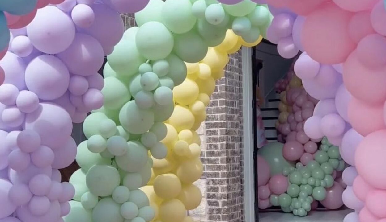 Photo of Others in Pedro Brand