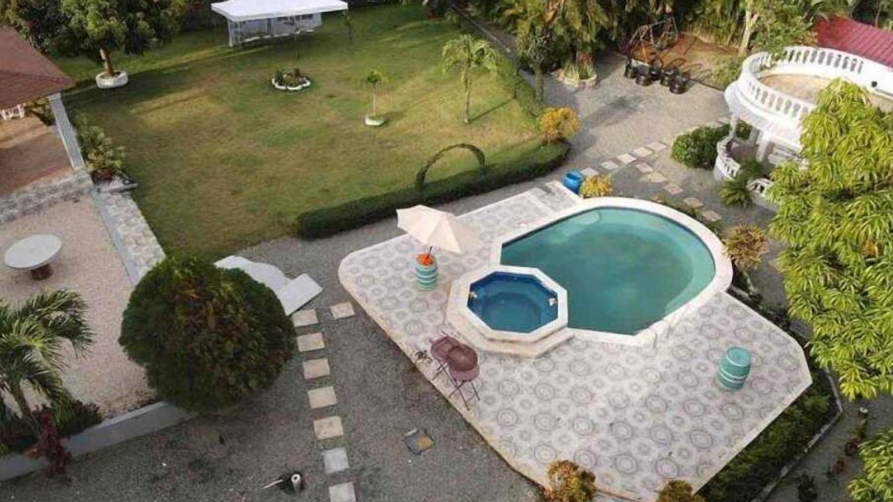 Photo of Outdoor in Pedro Brand